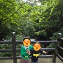 다리안 황토길 이미지