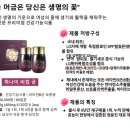 하나미 이미지