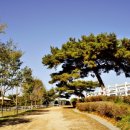 형식목장 이미지