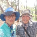모봉길 이미지