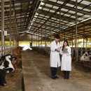 연암목장 이미지