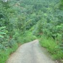 솔나루펜션 이미지