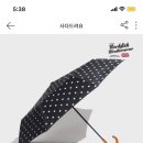 레인쇼룸 - 청주시 청원구 오창중앙로 123-12 | 레인쇼룸