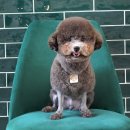 멍분의 멍 이미지