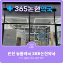 365논현약국