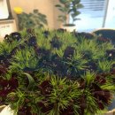 제일편안의원 이미지