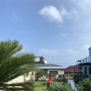 제주 드 루앙 | 제주 드 루앙 신촌점 작은집 후기 제주 동쪽 숙소 추천