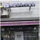 털뭉치살롱