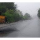 마이티컴퍼니 이미지