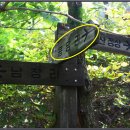 대운산자연휴양림 이미지