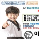 아랑 태권도 이미지