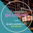 황소공인중개사사무소 이미지