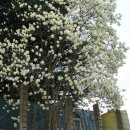 읍사무소 이미지