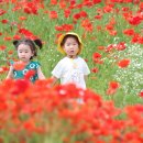 꽃그리고 이미지