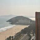 스테이 매기 | (내돈내산) 신라스테이 해운대 2박 3일 후기