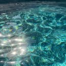 여수울공원(물놀이장) | [여수] 요즘 좀 덜바빠져서 쓰는 여수 여행 기록