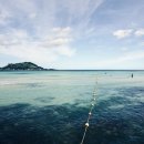 사진작가반 이미지