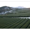 무위사안내소 이미지