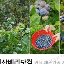 베리민박 이미지