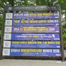 행정용 14 이미지