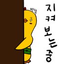 지우건설
