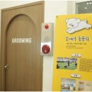대구애견미용 모여라솜뭉치 이미지