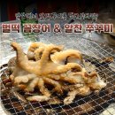 벌떡 | 일산 알쭈꾸미 직화로 먹을 수 있는 벌떡꼼장어 알찬 쭈꾸미 방문 후기