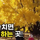 "운전하기 싫다.." 차없이 가는 당일치기 단풍명소 여행지 BEST 6 | 단풍시기 이미지