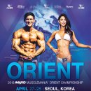 머슬인 이미지