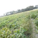 구산농장 이미지