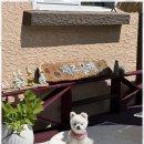 올래펜션민박 이미지