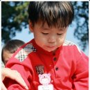 새싹몬테소리 어린이집 이미지