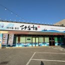 김천참기름 | [김천] 율곡동 맛집 다도해 횟집 점심특선 물회 리뷰