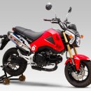 GROM MSX125 요시무라 재팬 R-77S 사이클론 슬립온 머플러 이미지