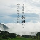 박명화명품된장 네이버블로그