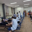 내동면사무소 이미지