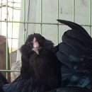 현성농장 이미지