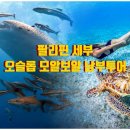 삼겹살파티 - 서구 상무시민로 99 | 삼겹살파티