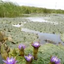 2004/ 9/21일영상칼럼 이미지