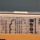 이정훈 강아지 이미지