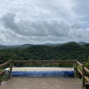 곶자왈거문오름 | [제주 여행] 거문오름 예약 필수