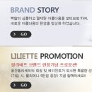 (주)루루이노스