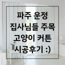 낭만고양이(운정점) | 파주 한울마을 운정더클래스 아파트 고양이 전용 커튼 시공 후기 🐱✨