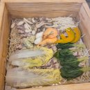 동춘역 4번출구 이미지