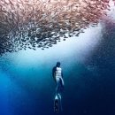 에스에이치케어 이미지