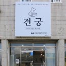 견궁 | [충주] 디저트가 맛있는 충주 애견카페 견궁