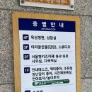 고래등어린이집 놀이터 | 서울형 키즈카페 월곡 1동점 | 오픈 3일차 방문 후기