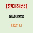 현대해상하이카