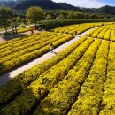 웰컴비지니스호텔 이미지