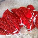 만년사슴농장 이미지